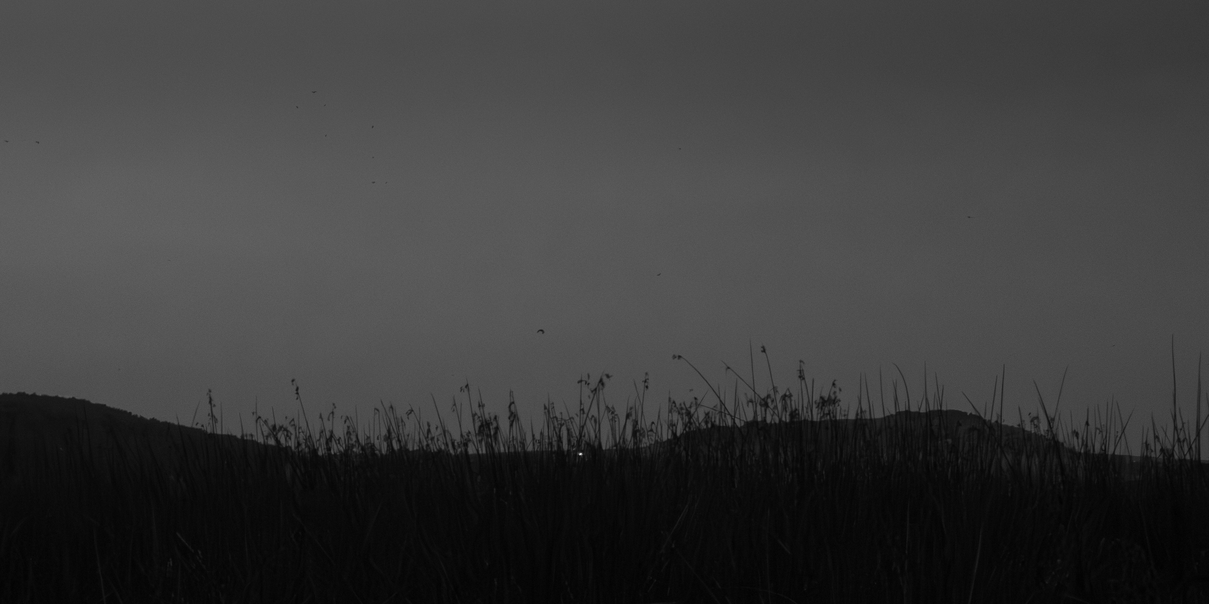 Fotografía autoral en blanco y negro